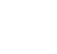 Carte sécurité icone